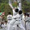 kyunghee_demo 33